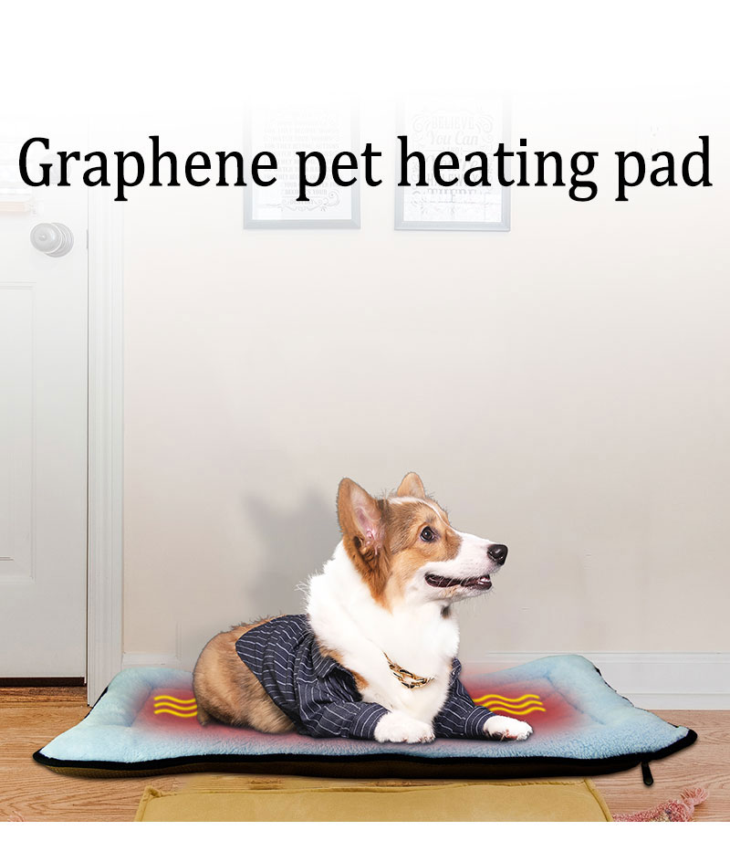 dog bed dog bed