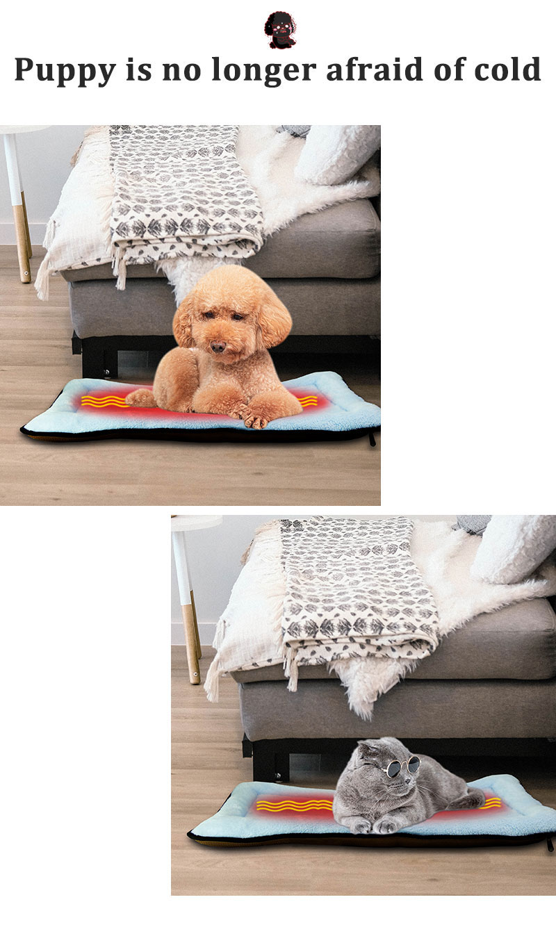 dog bed dog bed