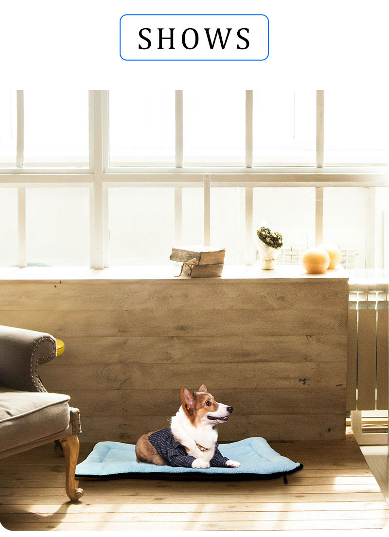 dog beds eco friendly dog beds eco friendly