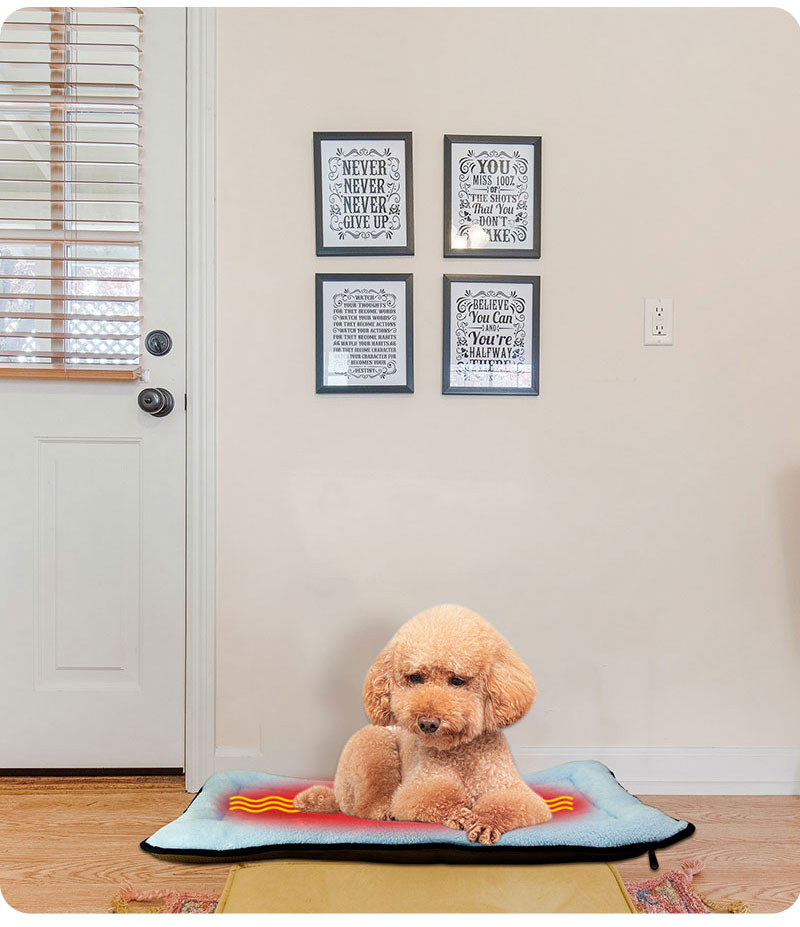 dog beds eco friendly dog beds eco friendly