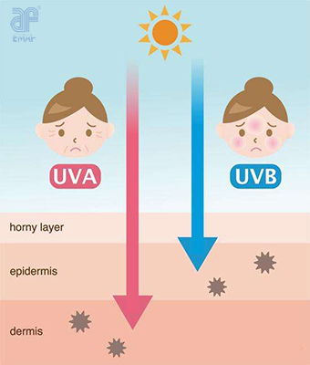 The harm of Ultraviolet radiation to Human body